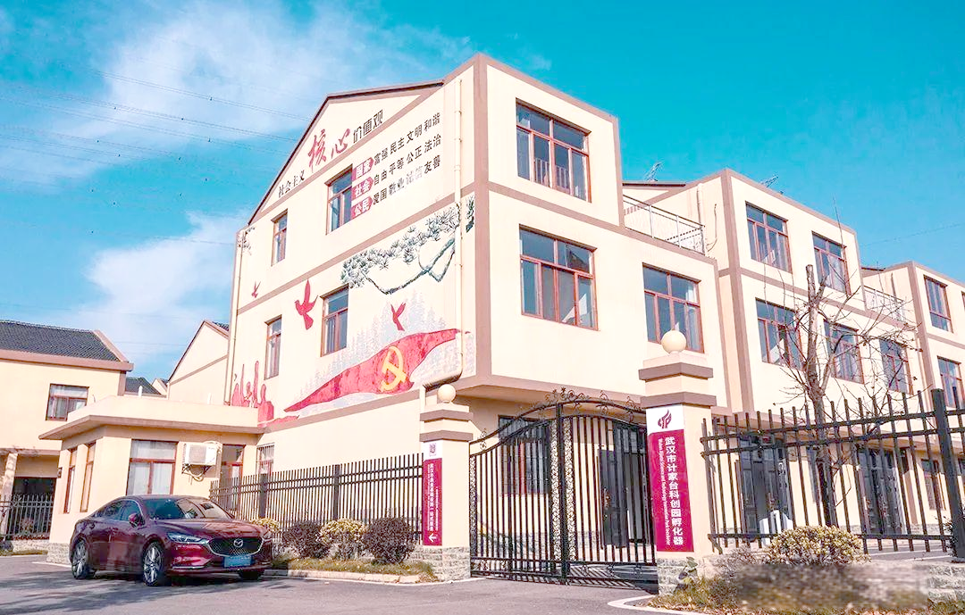 蔡甸现代城全面建设,打造产业新高地与消费、科创、服务中心