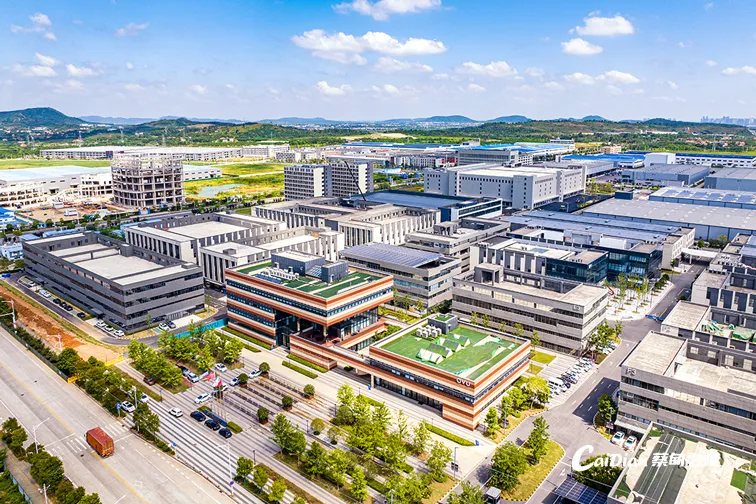 市两会聚焦 | 市政府工作报告中的“蔡甸元素”-悠哉生活圈