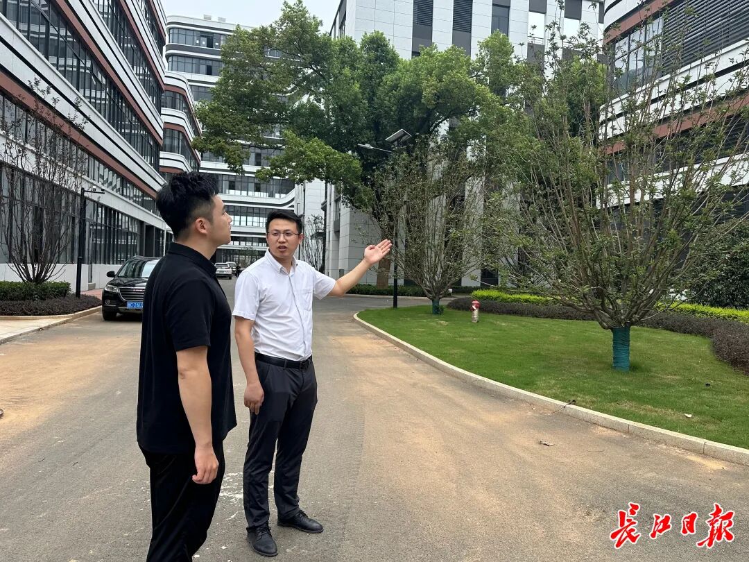 交付仅10余天,百亿产业园去化率过半-悠哉生活圈