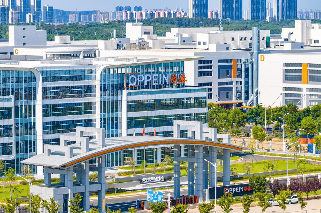 蔡甸:知音故里,“蔡甸曲线”昂扬起飞